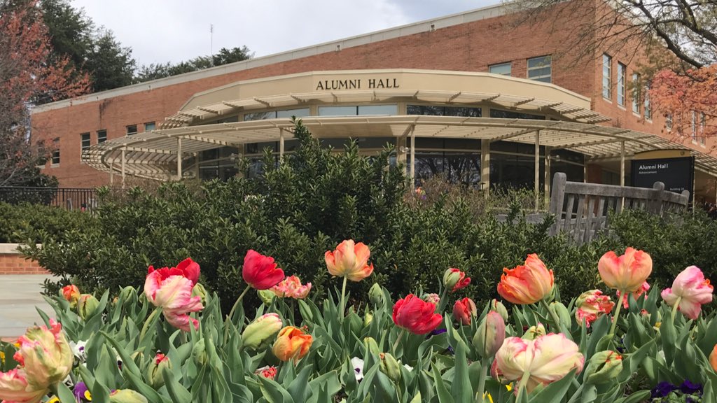 katieneal's tweet image. Tip-toed through the tulips on my way out of the office today 🌷💐#springintheforest