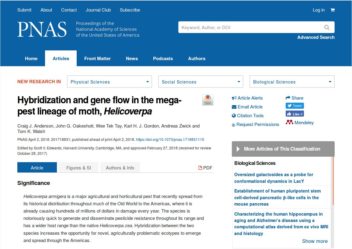 Helicoverpa tweet media