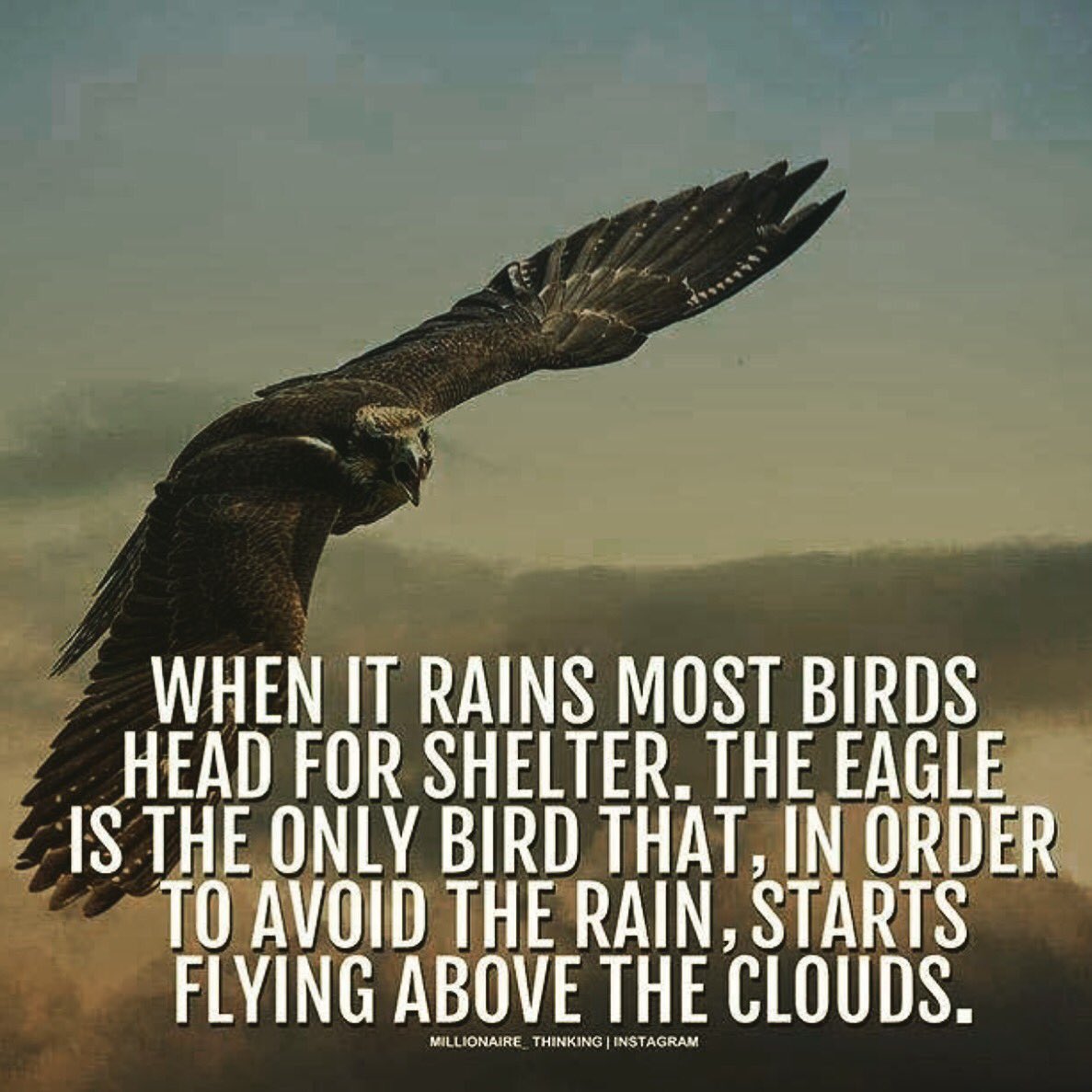 Play smart, Work SMARTER! Be consistent and allow yourself to remain in a higher state than your situation(s) #BeLikeAnEagle 😂 #SuccessMentality #Realtor #Investments #RealEstate