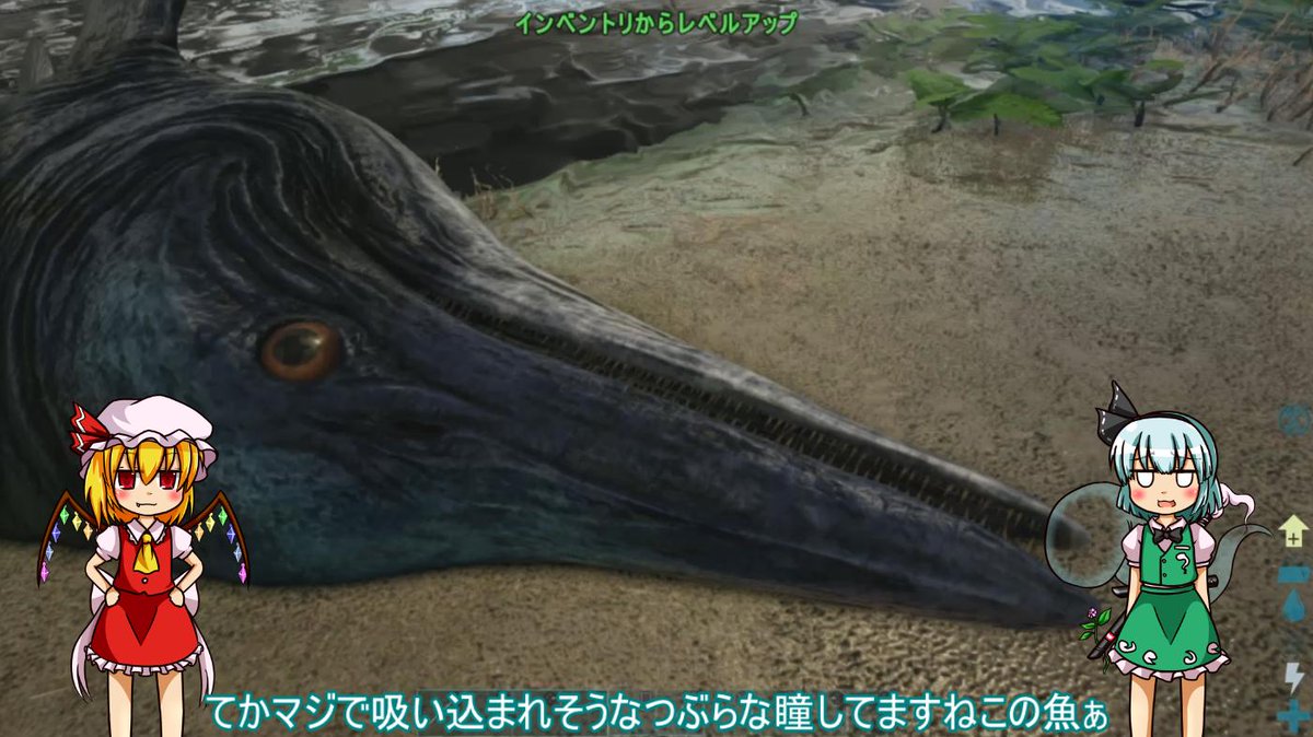 バルゲロ バルゲロ