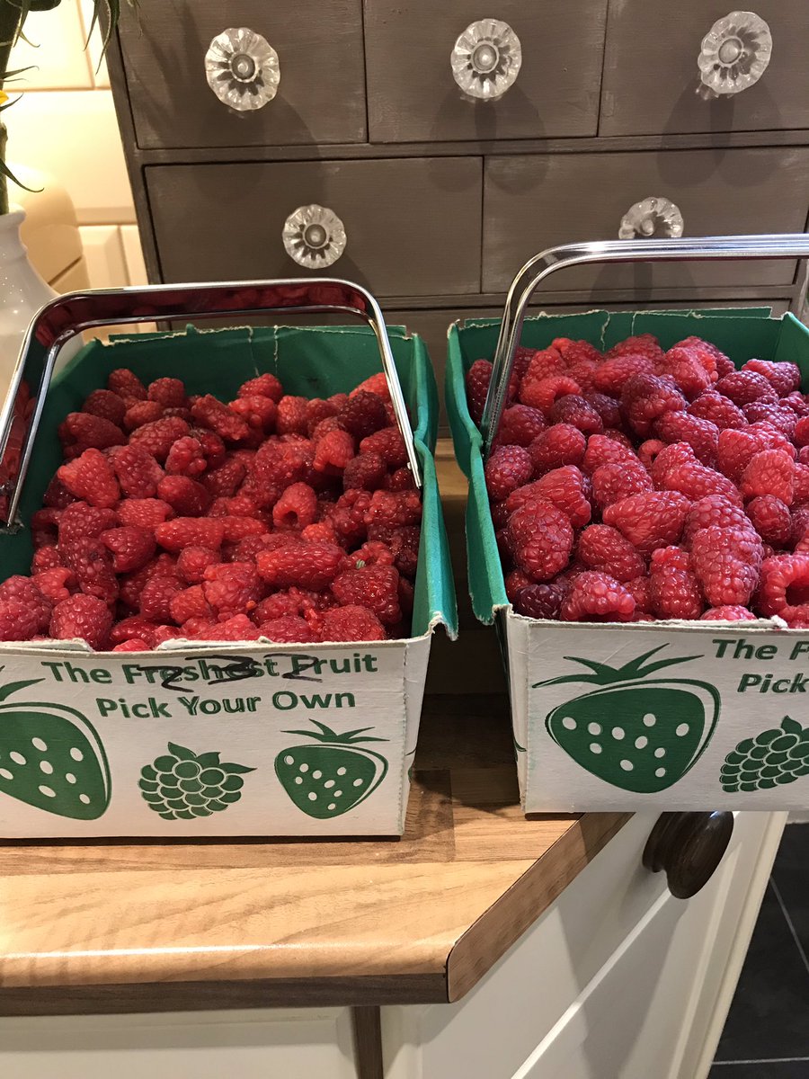 Lyndacakebaker's tweet photo. Jam making!! #scottishraspberries #raspberryjam #homemade #broadslapfruitfarm #summer #jarcollection https://t.co/EV4hvyAmfM