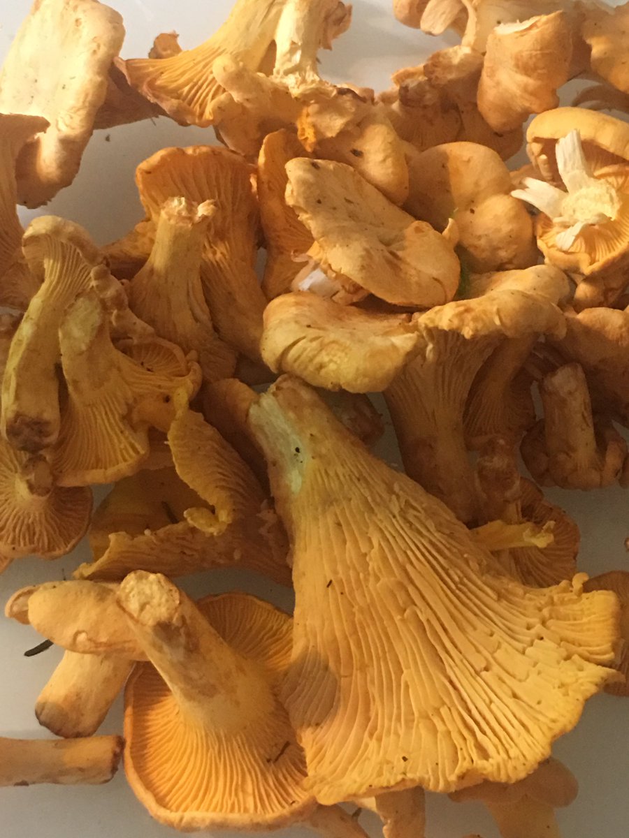 svenssonprepper's tweet image. Jag fick bevis på att mitt arbete för att få till #grannsamverkan funkar. Fick en leverans till dagens macka 😊 Det är bra #prepp att känna sina grannar. #prepperSE