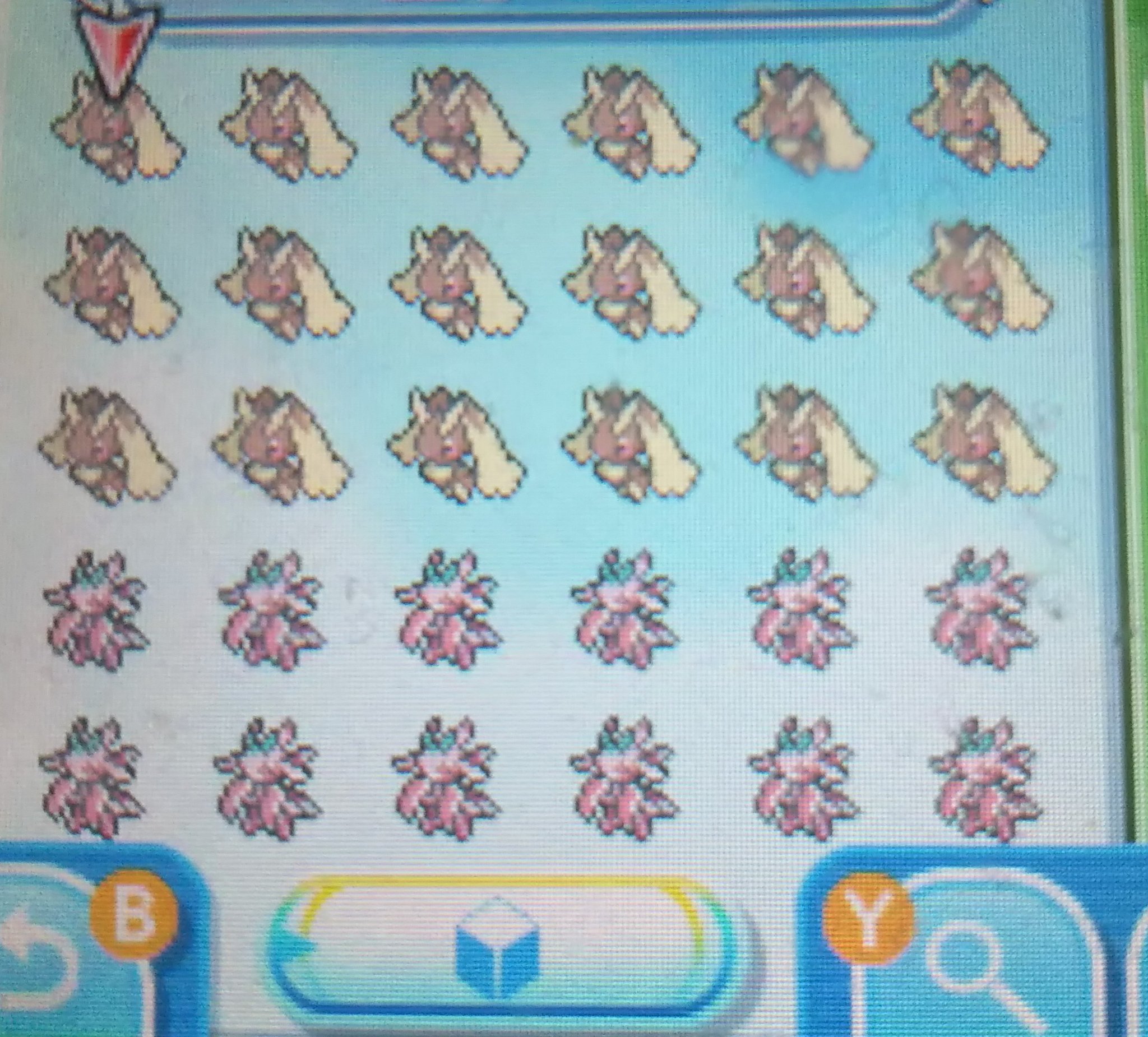 ユキyuki 稀紗蘿さんの ミラクル交換の刑 そろそろ進化させたポケモンが被ってきそうなドキドキ感 進化系流すときはリゾートで上げて戦闘1回で進化するようにしてる 1回遊ぶごとに500経験値入るから 経験値タイプと進化に必要な経験値調べれば楽 タマゴ