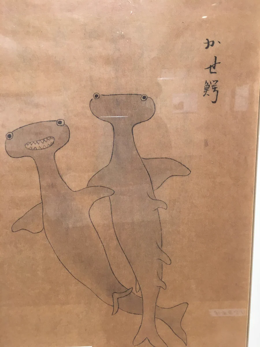 こんな風に描かれているなんて面白いwww江戸時代中期に書かれたシュモクザメの絵！！