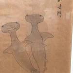 こんな風に描かれているなんて面白い!江戸時代中期に書かれたシュモクザメの絵!