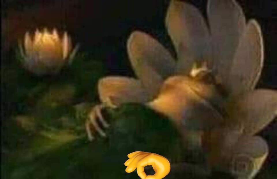 Demolishor82's tweet photo. @cmcmemes @SpanRandom https://t.co/tPtGAdYgFT