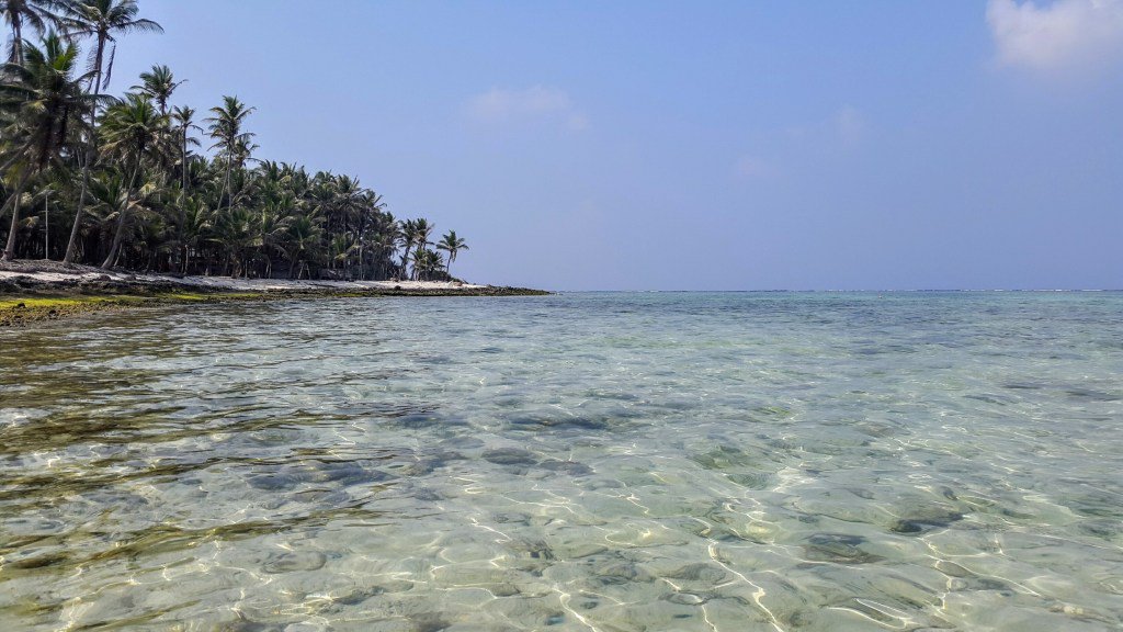 The Good Life With IQ tweet media