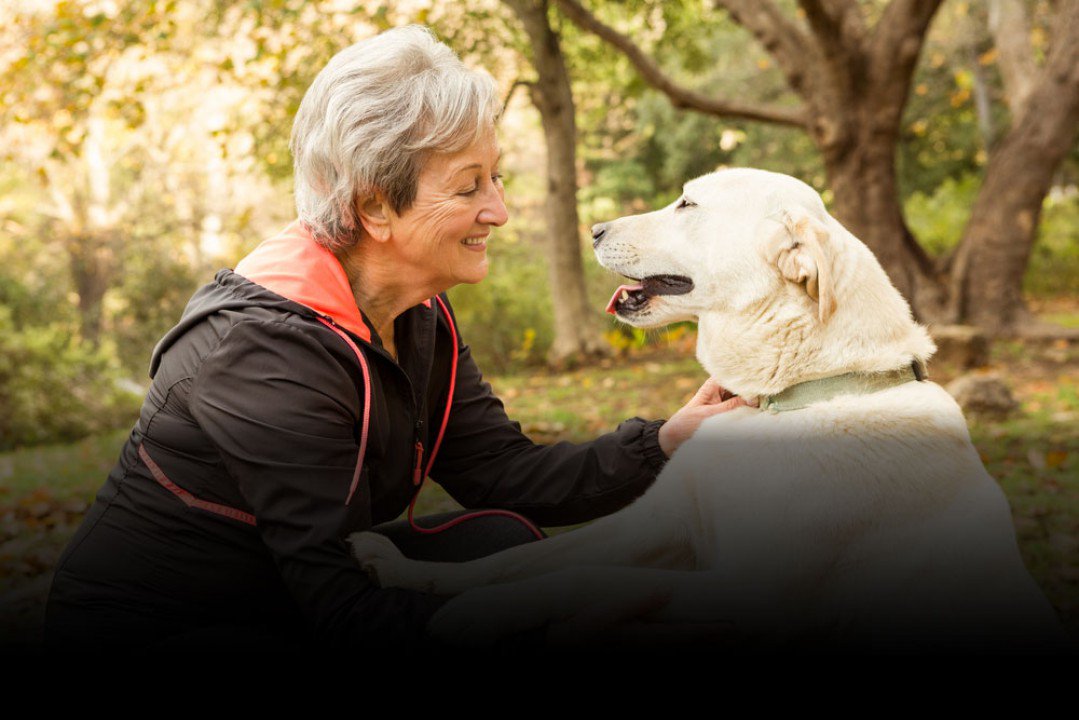 EvergreenClubIN's tweet photo. Here is how you can take care of your dogs and cats. Read this elaborate guide and also learn about the best products available for them. 

Click here to read more: https://t.co/uWcLoDdUgl

#Seniority #LiveEvergreen #PetCareGuide #SeniorHealth #SeniorWorld #SeniorLife https://t.co/GNdahv603U