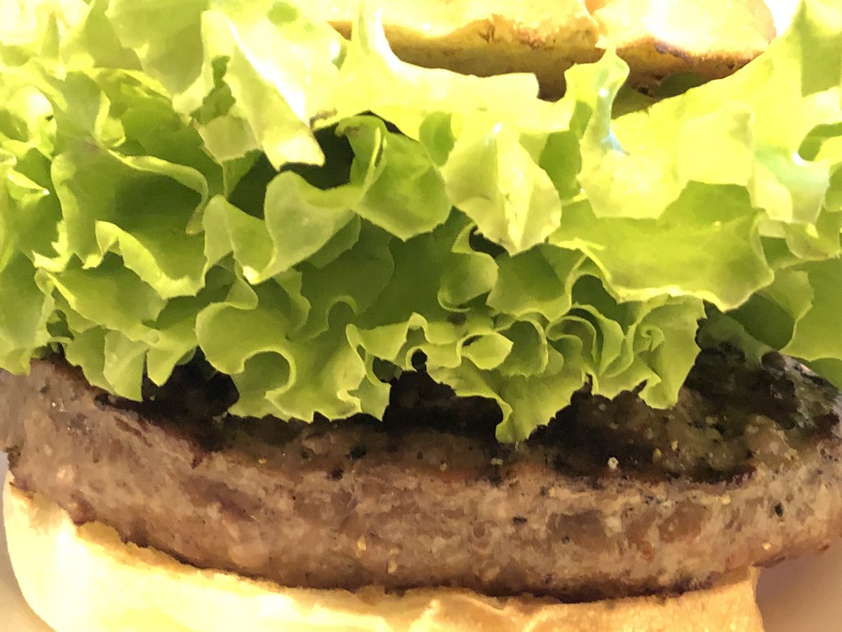 ftnext's tweet image. #mokupy
お昼のハンバーガー！
（ベースクラスにしました＝特にトッピングはなし）