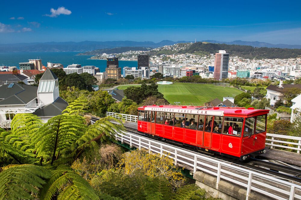 GDiscoverAbroad's tweet photo. New Zealand is one of those places that excites the imagination. It is famous for its national rugby team, its indigenous Maori culture, its picturesque landscape and many more things. Check them out! 

#NewZealand #Travel
https://t.co/O89opPPnii https://t.co/cmcmyHdu7H