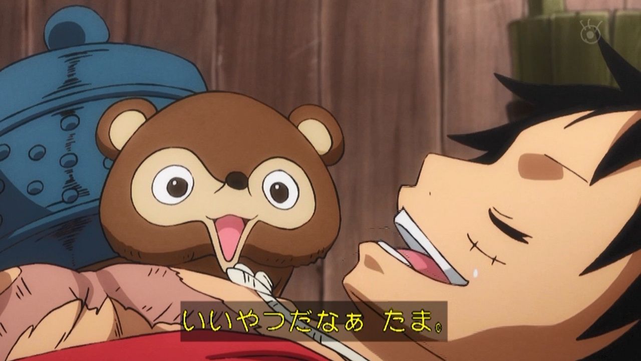 嘲笑のひよこ すすき お玉のペット ぶんぶく君 その正体は 動物系悪魔の実 イヌイヌの実 モデル たぬき を食べた飛徹の茶釜 火にかけると熱がるため もうお湯も沸かせないペット モデルはおそらく分福茶釜 ワンピース Onepiece ワノ国編