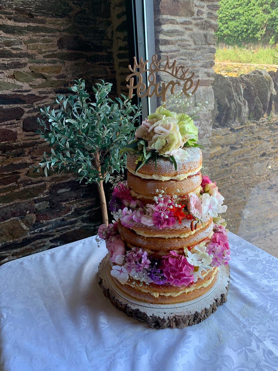 sandra_pearce's tweet photo. The new Mr &amp;Mrs Pearce. Wembury. 20 July 2019. And my finished cake. Fab day and very proud mum. What a lovely couple. https://t.co/aukHAVswFa