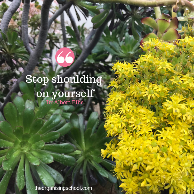 SaraHallPerth's tweet photo. Do you often 'should' yourself?
"I should have played more with the kids"
"I should have finished that...not made that mistake"
Ask yourself, am I doing this because I want to or I feel I should
Even if your actions remain unchanged, identifying our #true #intentions is #powerful https://t.co/TJkmrAZqes
