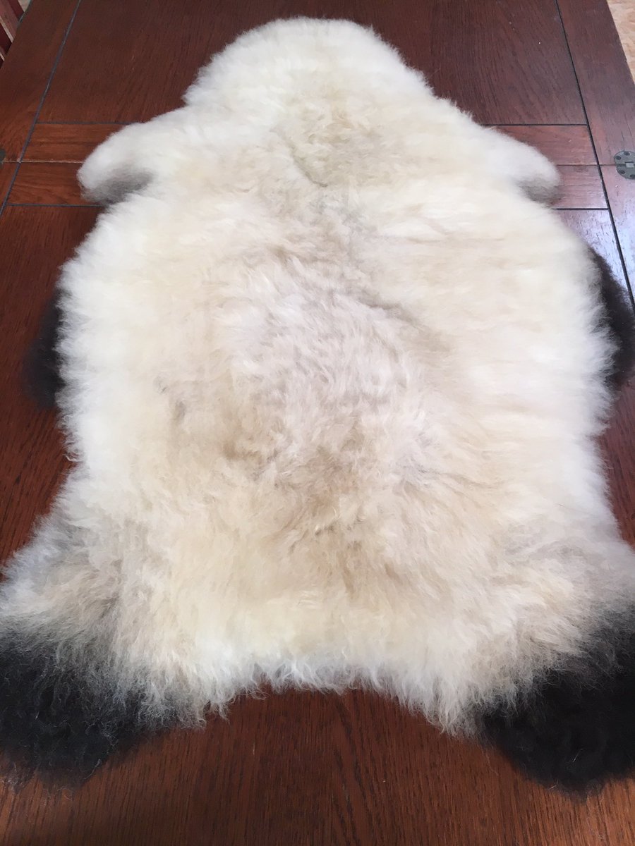 OrganicTannery's tweet photo. New York, New York, New York. Another stunning Badgerface Sheepskin off to a lovely cusomer in New York. #organictannery #organicsheepskin #babysafe #vegtan #vegtanleather #mimosa #sheepskinrug #babyrug #badgerface #badgerfacesheep @Leather_UK @biodynamicsbda @biodynamicuk https://t.co/Z3ZZMKNkz7