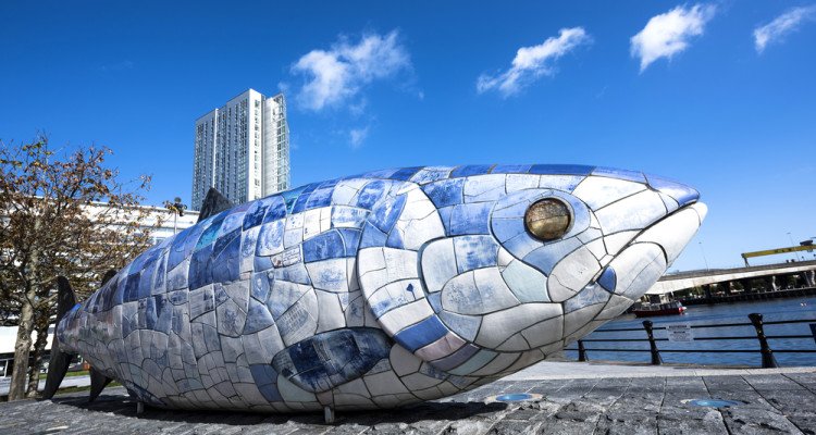 74 saints called Fintan! Fintan of Clonenagh (d 603) lived on barley-bread & water! Fintan of Rheinau (d 879) enslaved by Vikings, taken to Orkneys & became hermit on the Rhine! Legend Fintan mac Bóchra 1 of only 3 men to survive Biblical Flood; changed into Salmon of Knowledge!