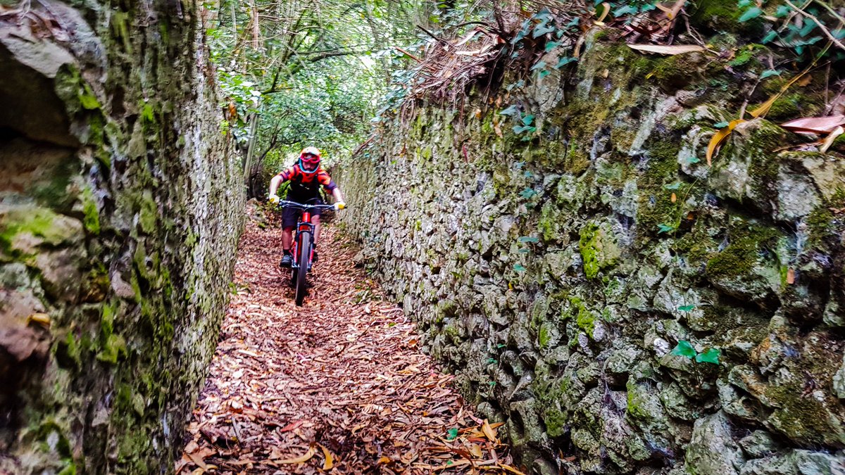 mugimendi's tweet photo. Por fin de vuelta!
La ruta costera que os propongo hoy recorre las Marismas de #Santoña y sube #Buciero para bajar por bonitos senderos.

https://t.co/LGU6qwaaAQ

#BTT @turismosantona @santonismo https://t.co/DUFGPut7BK
