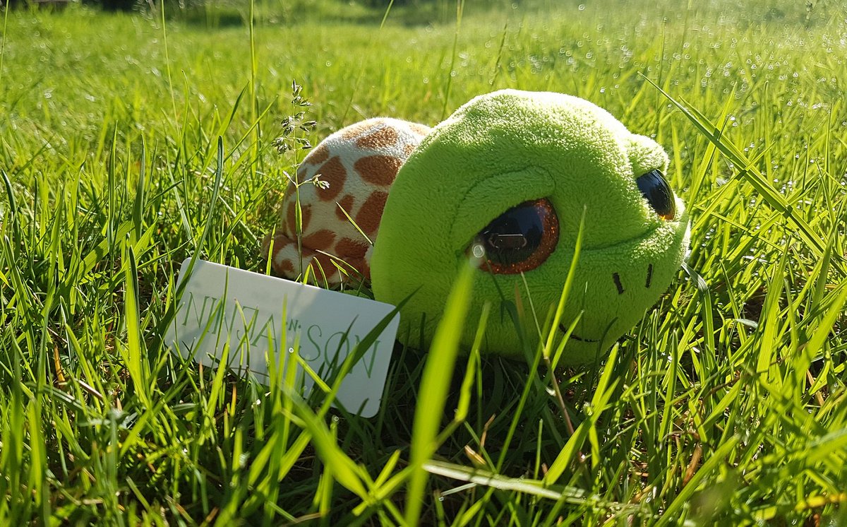 Ook in de vakantie: Doe langzaam!
#productiviteitstip
ow.ly/iZFl50v4DNl