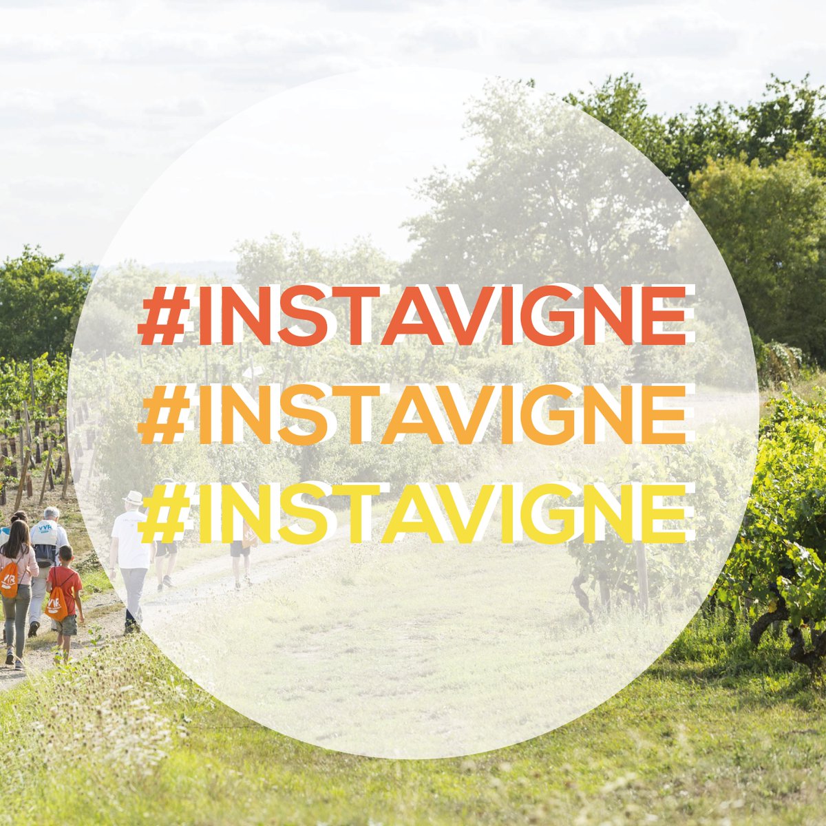 Soyez au plus près de l'aventure #VVR avec le lancement du hashtag #InstaVigne ! 😁 Durant votre randonnée, partagez vous aussi vos plus belles photos ! Des week-ends en Val de Loire sont à gagner ! 🎉🎈 Rendez-vous sur Twitter, Facebook et Instagram dès le 1er septembre ! 😉