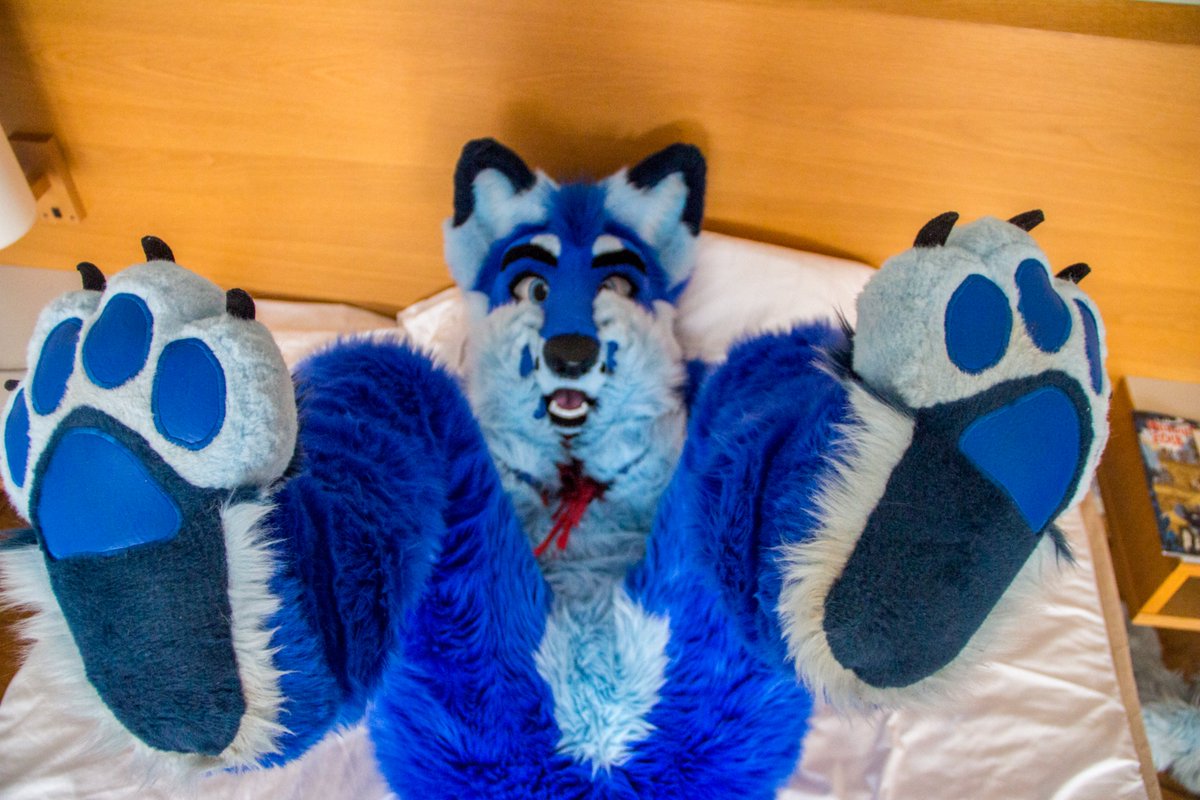 BluesugarDK's tweet photo. Oh no, seems like you caught me at a bad time π
I wasn't expecting someone over so early this #FursuitFriday! But since you're here, why not rub these paws some? ^^
πΈ: @Fideel
#NFC2018 https://t.co/dEA8ocIlfH