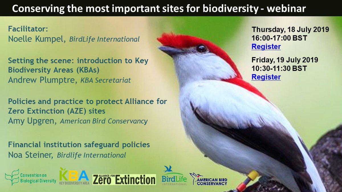 BirdLife_Policy's tweet image. Join our webinar starting soon on public &amp;amp; private sector policies &amp;amp; safeguards to conserve the most irreplaceable sites for biodiversity: #KBAs inc #AZE sites zeroextinction.org keybiodiversityarea.org @keybiodiversity @BirdLife_News @UNBiodiversity @theGEF @UNEnvironment