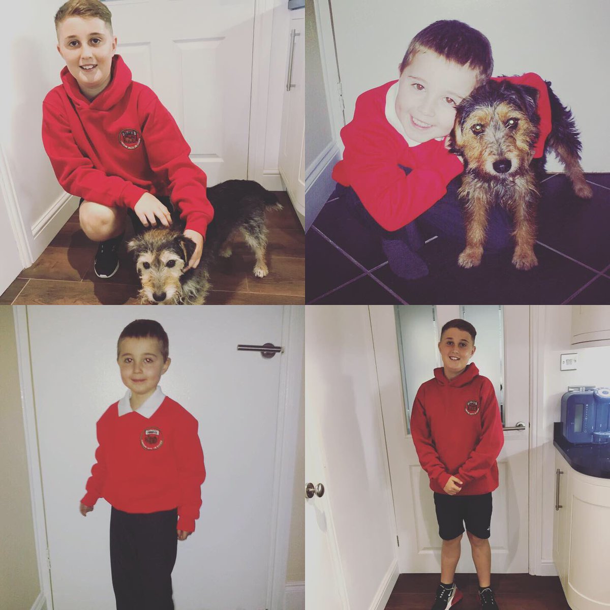 LM_Griff's tweet photo. @YGCwmbran last day for Ieuan. Can’t thank you all enough. Such a lovely school with wonderful staff 😢 https://t.co/pcahDnwzAf