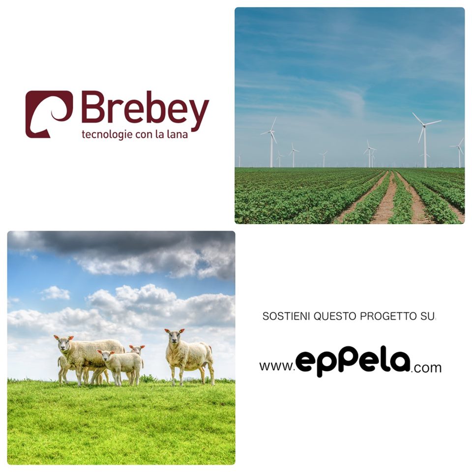 Brebey's tweet photo. Il GAL Campidano ha scelto Brebey come partner per lo sviluppo del progetto di Cooperazione Transnazionale: Global Eco - InnoEco. 
Seguici su https://t.co/hQyCJykSOi
Partecipa al nostro crowdfunding su Eppela https://t.co/b0rwI16lJr
#brebey #globalecoinnoeco #eppela #crowdfunding https://t.co/3M6wpPbgLj