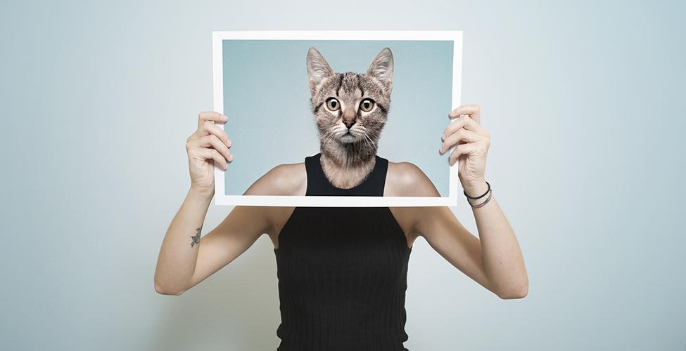 Les applications de retouche photo permettent d’appliquer des effets spéciaux par « morphing » pour vieillir, rajeunir, ou tester un effet esthétique à partir d’une seul image de l’utilisateur. Voici quelques conseils pour les utilisateurs.