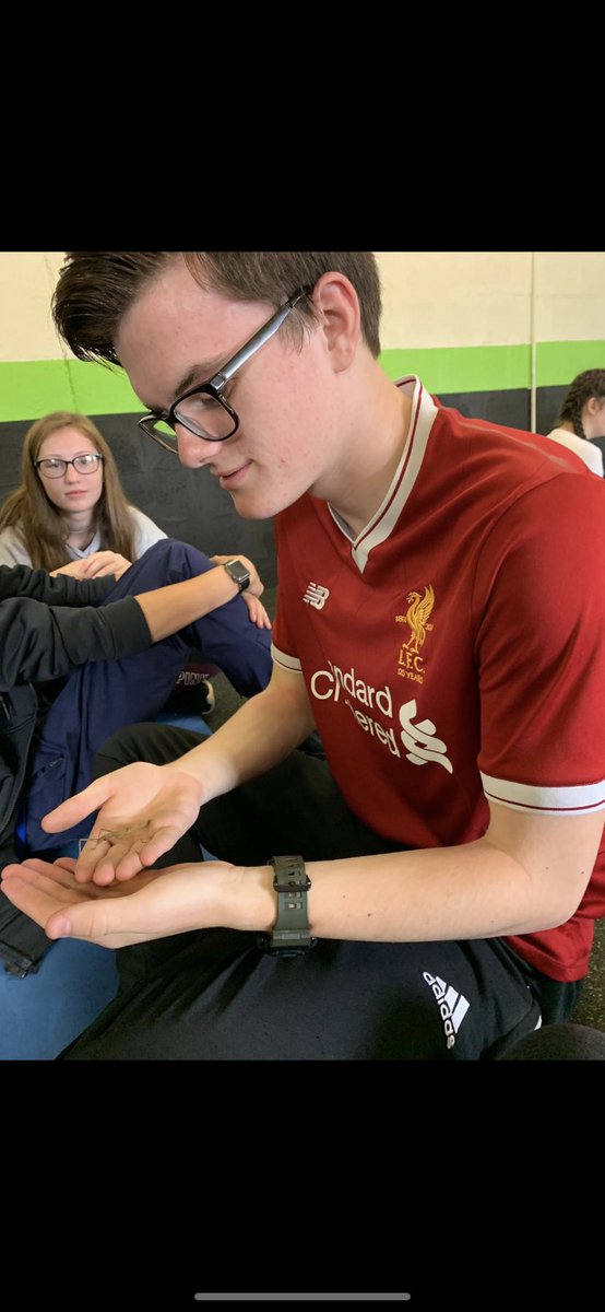NCS_WEH's tweet photo. On Tuesday, we did Animal Therapy, this was one of the ways we found was possible to cope with mental health. Animal Therapy is using Animals such as Parrots and Snakes to boost your mental health. 
#mentalhealth  
#animaltherapy                                          #WEH https://t.co/cKeUYk2zcO