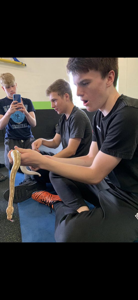 NCS_WEH's tweet photo. On Tuesday, we did Animal Therapy, this was one of the ways we found was possible to cope with mental health. Animal Therapy is using Animals such as Parrots and Snakes to boost your mental health. 
#mentalhealth  
#animaltherapy                                          #WEH https://t.co/cKeUYk2zcO