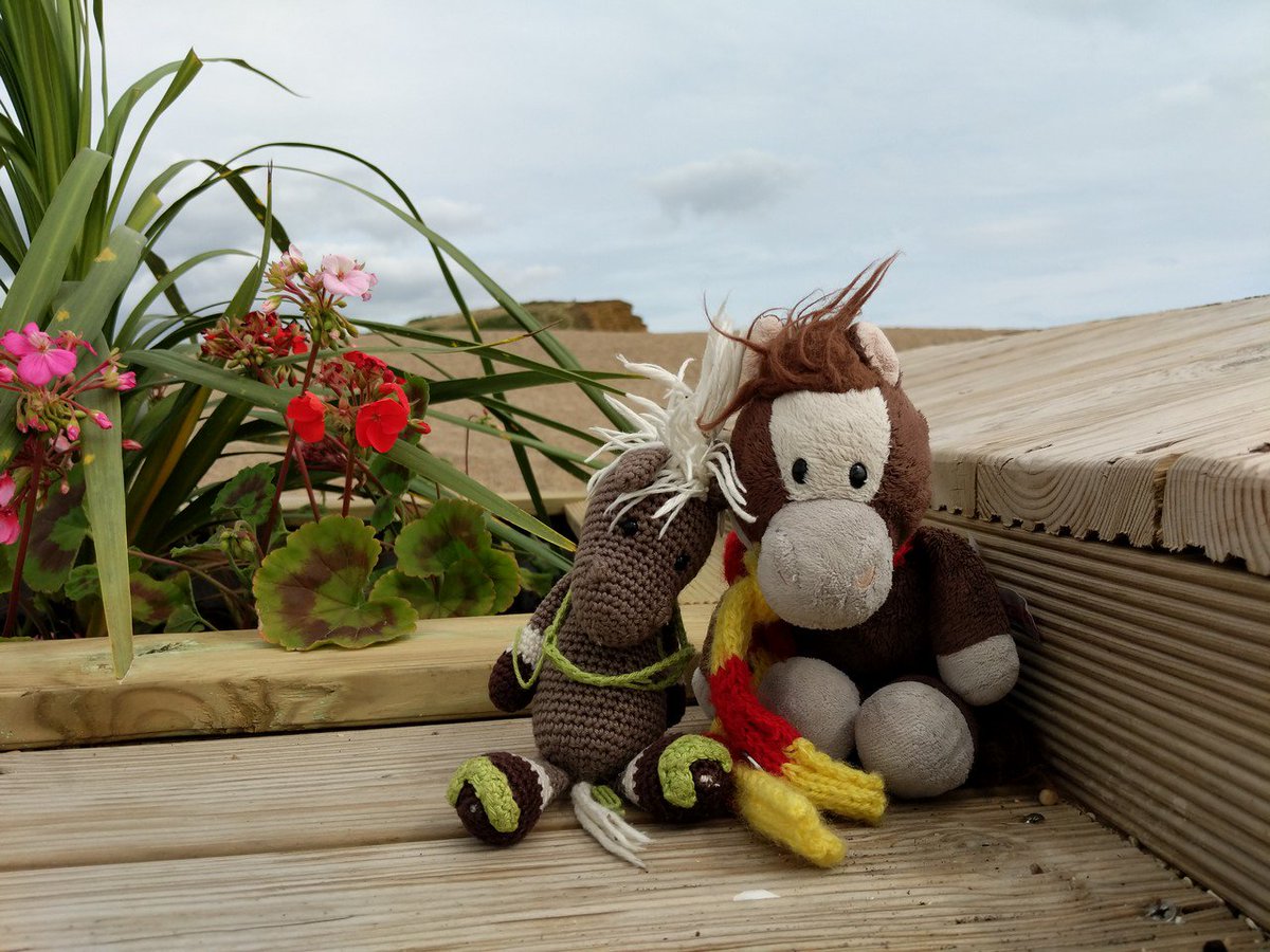 Yesterday was a quiet day.  A visit to Forde Abbey where @ReisePferdich and Zuppi helped with the sluice gates and then a quick visit to the beach at Bridport.  Today, we have pouring rain... hey ho