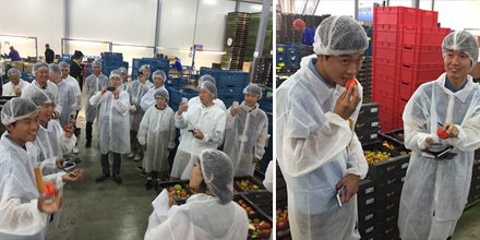 This week we had a visit from a delegation from Japan, Kochi. They haven't only seen our wide range of varieties, but they also taken on the challenge of tasting the Habanero chili
#habanero <a href="/agfnl/">AGF.nl</a> #chili #japan #kochi
eminentfood.nl/nl-nl/Assortim…