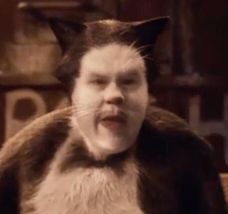 AlannaBennett's tweet image. I’m sorry just one more Cats tweet tonight:

I like to imagine they pitched a big game with the “fur tech” and believed in themselves and then realized halfway through they just couldn’t fucking do it and panicked and now here we are