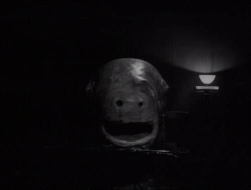 Eraserhead (1977)Directed by David Lynch