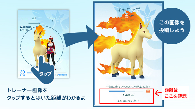 ポケモンgo攻略情報 ポケマピ 第4回サンスポ ポケモンgo調査隊 コンテスト内容 第3回当選者発表 第4回 ギャロップを相棒にして歩こう 相棒ギャロップと3km歩いたスクショを撮影 Sanspokemongoをフォロー ツイート 詳細は画像参照