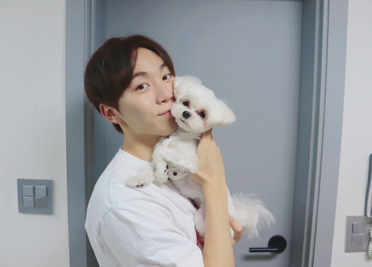 pledis_17's tweet photo. [17'S 승관] 우리 집 막내아들 부끄👼 https://t.co/rFItAXIGPe