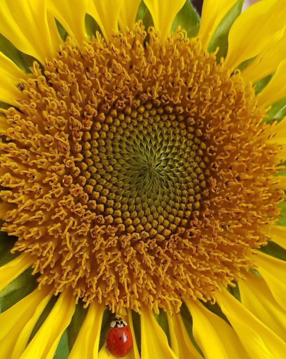 يبدأ مشوار اشتياقي لك 
 ليلاً .....
 ثِم يتبعه الحنين 
فجراً ....
 و اكمِل صباحي.. منتظرة
 وتبقى  
 كمَا انت ....
 ليلي ... و فجري ...  وكل اوقاتي
#نور