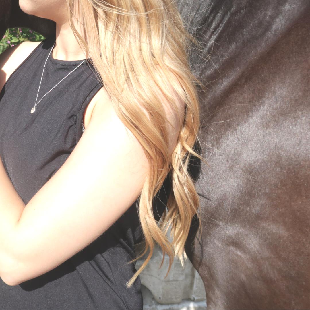 LD Equestrian tweet media