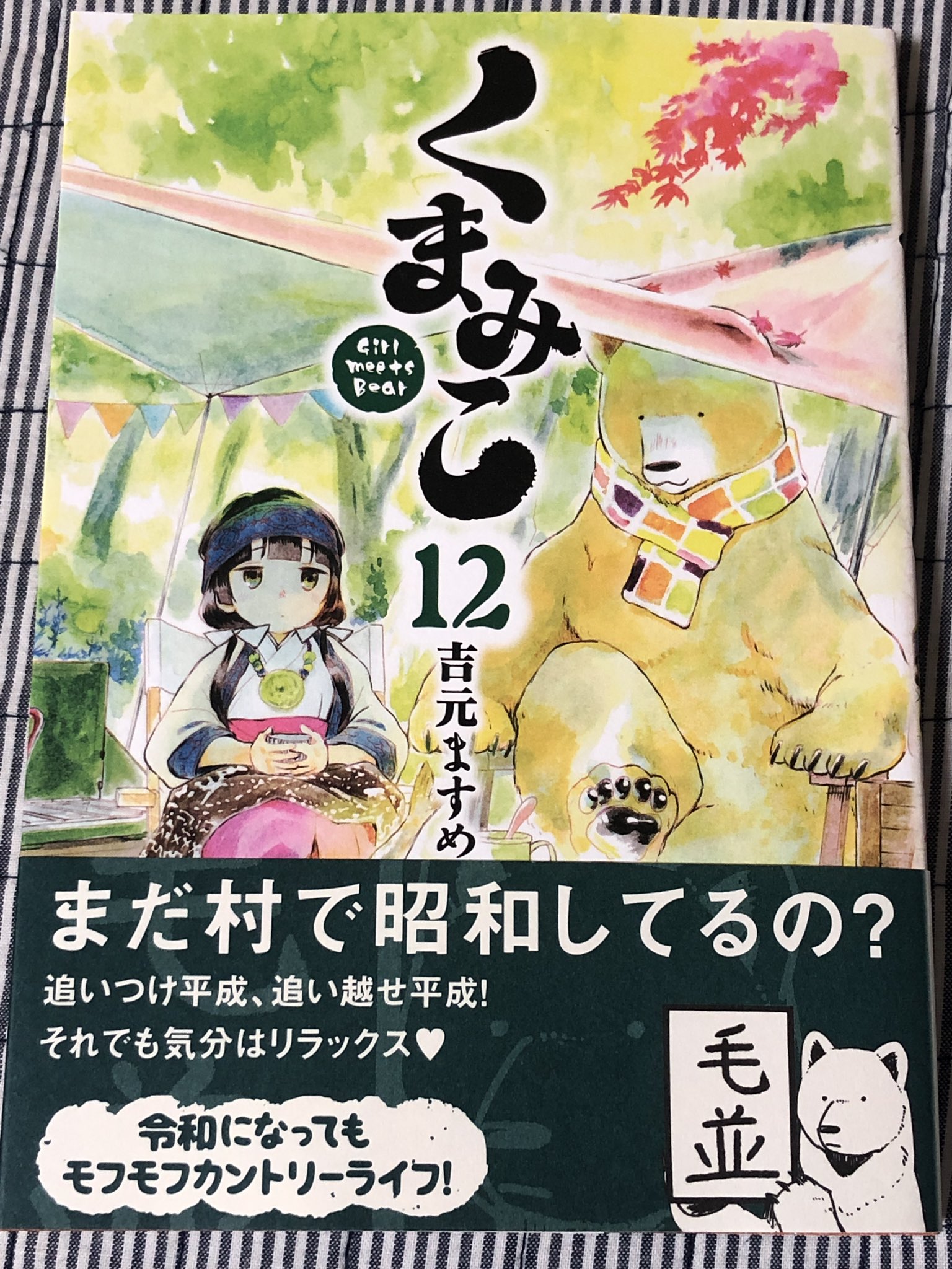 前山 貴茂 くまみこ １２巻 は 神様として崇められているクマと 都会を知らない田舎娘の巫女との物語です 言葉を話せる熊の方がパソコンやスマホなどの最新機種を使いこなし 逆に巫女の中学生の方が炊飯器すら使えないメカオンチと くまみこ 吉元
