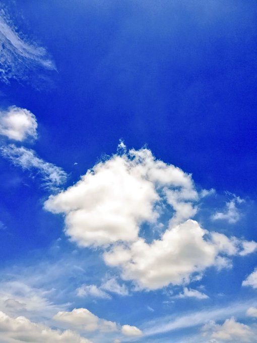 小説天気の子のtwitterイラスト検索結果 古い順 小説天気の子のtwitterイラスト検索結果 古い順