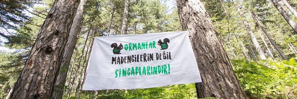KİRAZLI ALTIN MADENİ PROJESİ ACİLEN DURDURULSUN!
ÇEVRESEL ETKİ DEĞERLENDİRME RAPORU’NA AYKIRI İŞLEM YAPILIYOR!
Basın açıklamamız ;
#KazdağlarıHepimizin