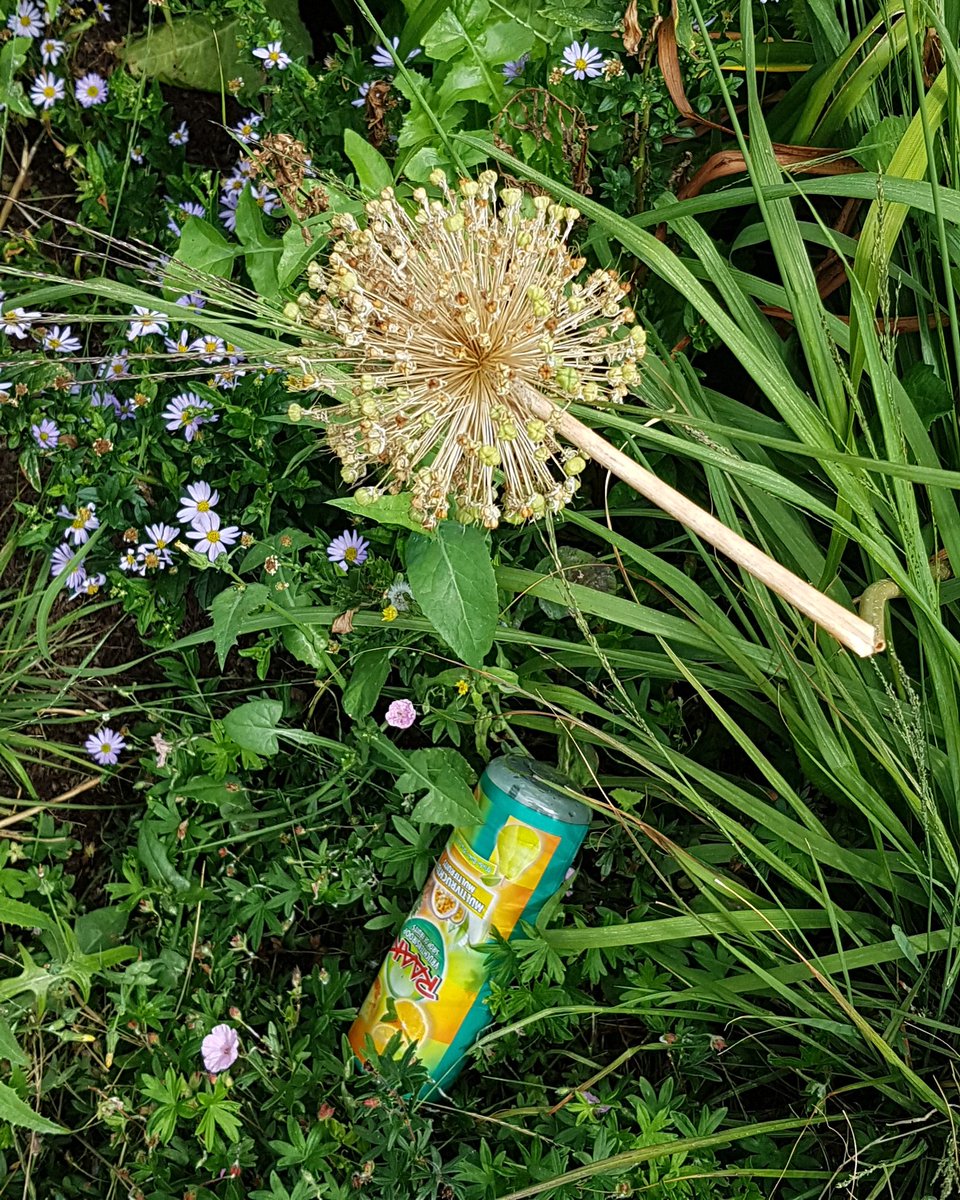 DePlaatVandaag's tweet photo. Elke dag een #Zwerfie van de straat rapen geeft een goed gevoel #Litterati #Amsterdam #Lost #Found #Plastic #Bottle #RAAK #Syrup #Multifruit #SiropDeFruits https://t.co/0Xk6HgIBgf