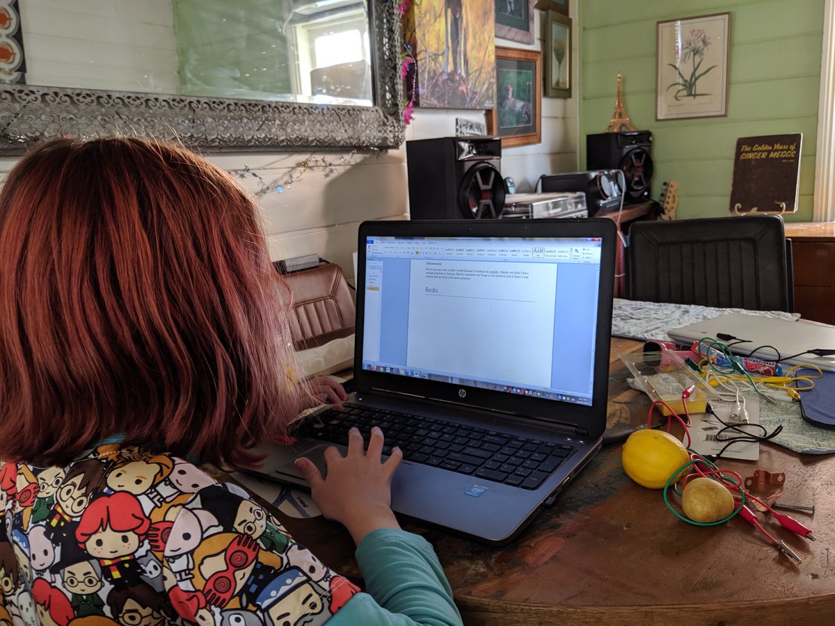 RowdyBengsen's tweet image. Crumbsnatcher&apos;s first scientific report: #PotatoBattery experiment. #ReproducibilityCrisis