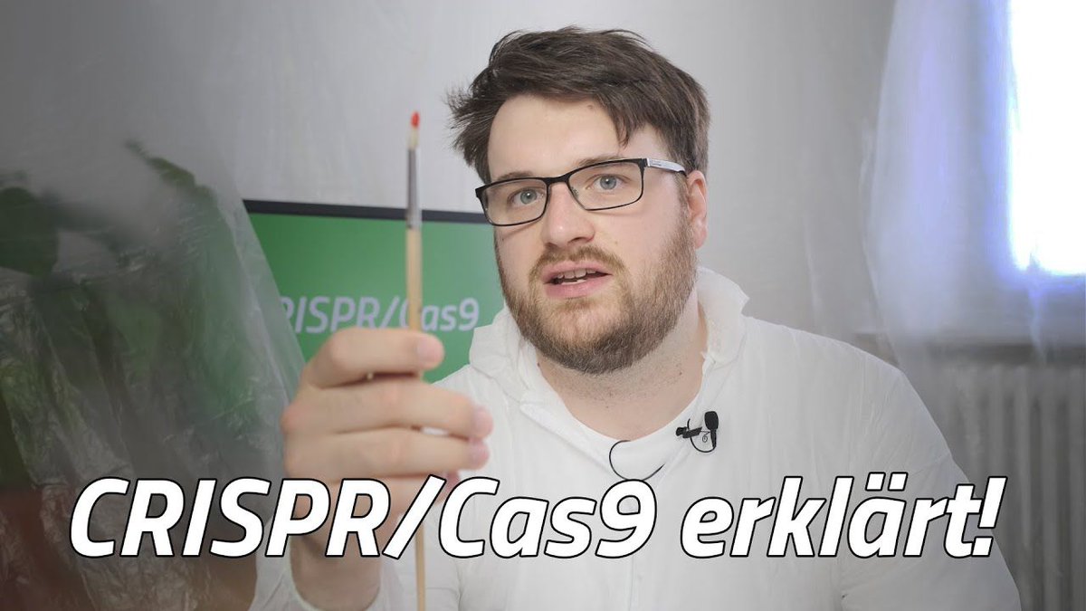 erforschtCRISPR's tweet photo. Gestern ging es um Laserstrahlen und CRISPR. Doch was macht CRISPR eigentlich so besonders, gerade im Vergleich zu herkömmlichen Methoden? In diesem Video erklärt Joram, was es mit CRISPR/Cas9 in der Pflanzenzüchtung auf sich hat.  https://t.co/oYDYdXPBth https://t.co/Ozv8ZpuZDg