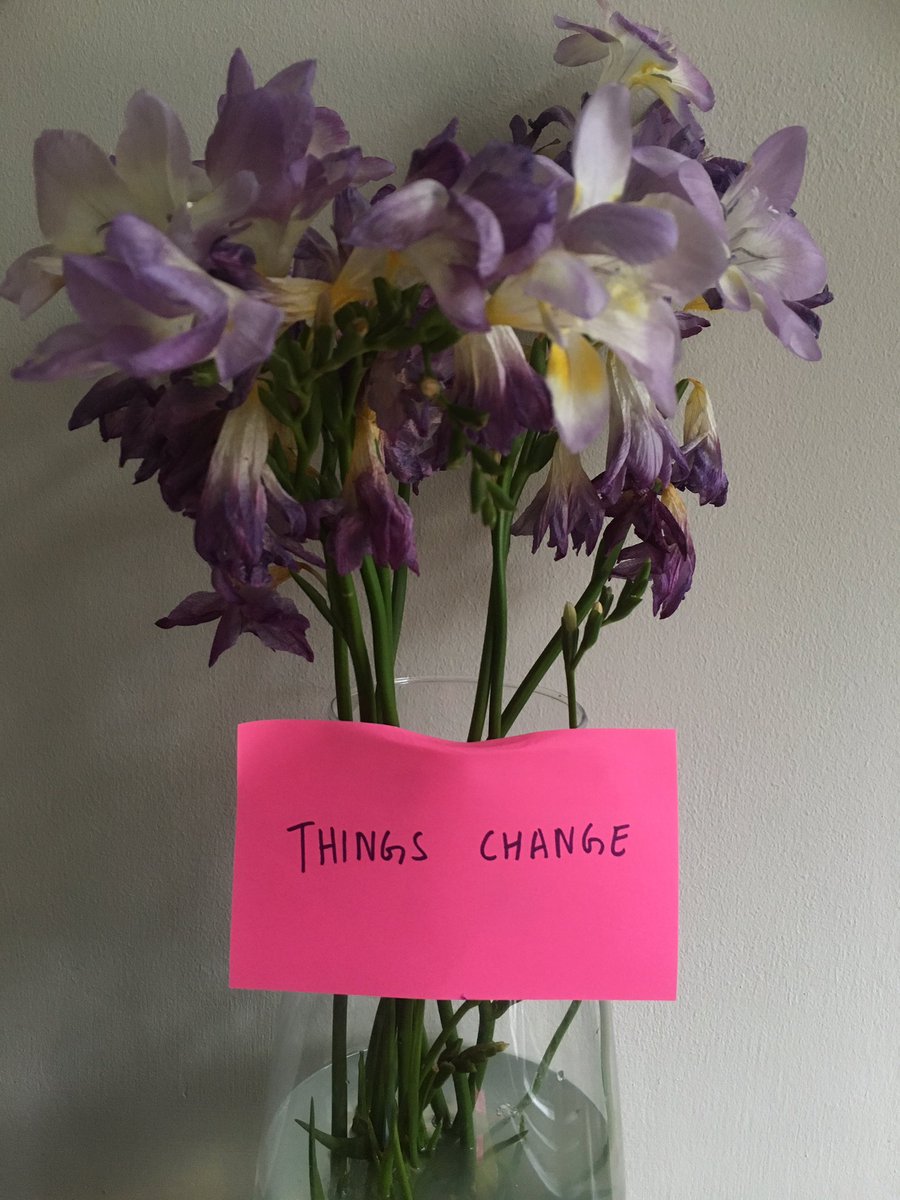 proverbproject's tweet image. Things change #plantproverb