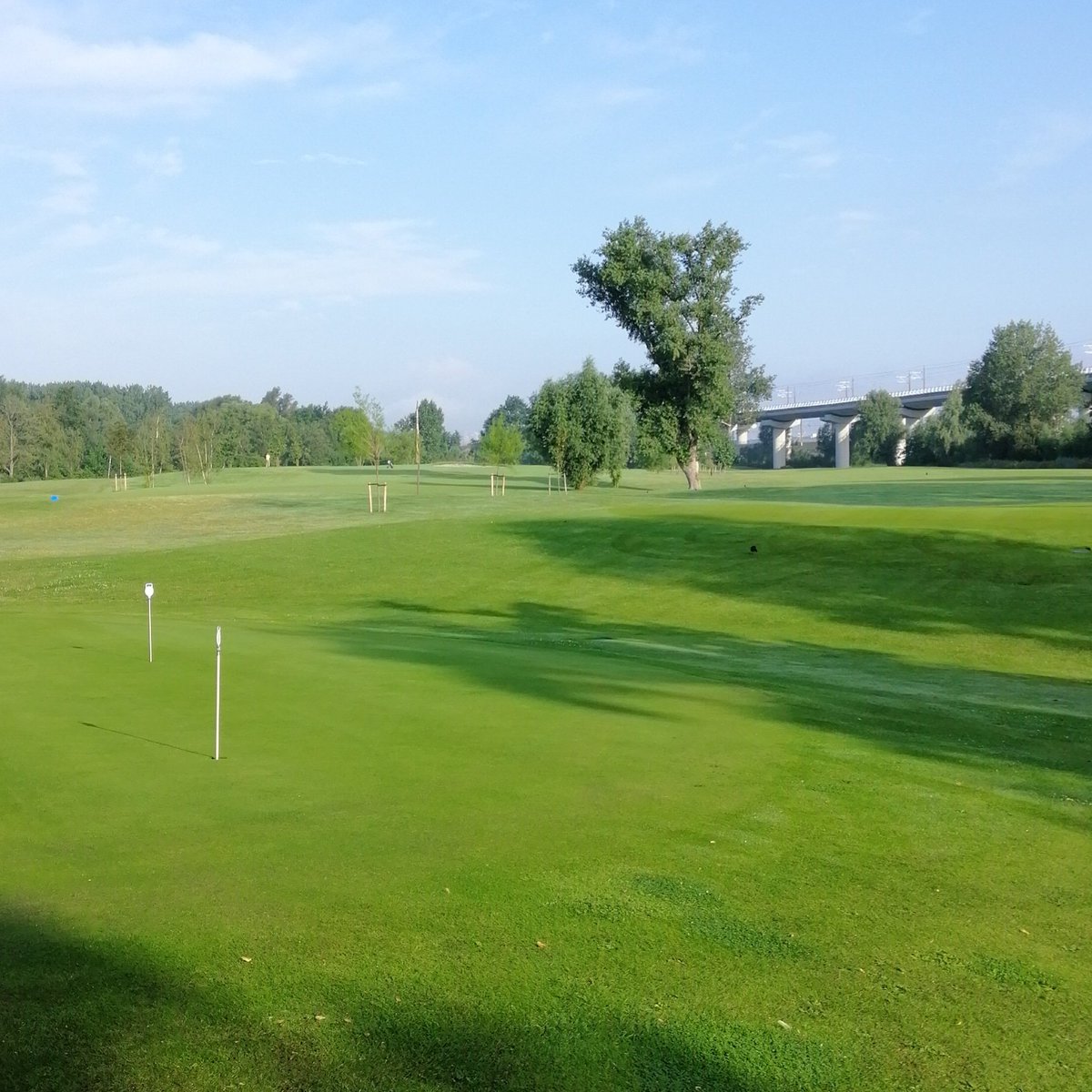 Amsterdam Old Course tweet media