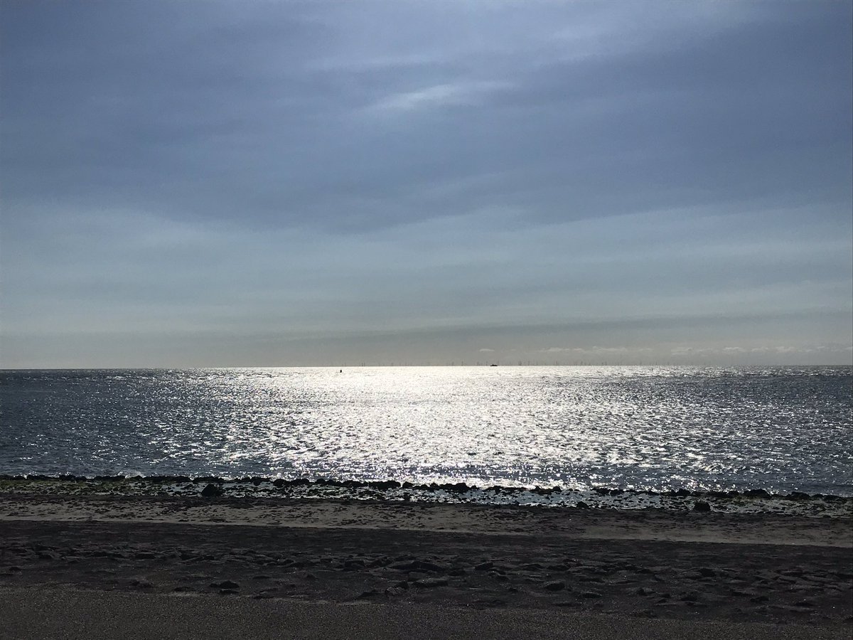 MartinaADoblin's tweet photo. 563 simulations contributed by 115 users, and rising!!! Thank you citizens, plankton lovers and ocean researchers!!!
@CitizenScience_ @CitSciAssoc @CitSciOZ Please join in at https://t.co/PmlCDRYBM8. #microbes #citizenscience #datapoetics https://t.co/j9QMn2FCoP