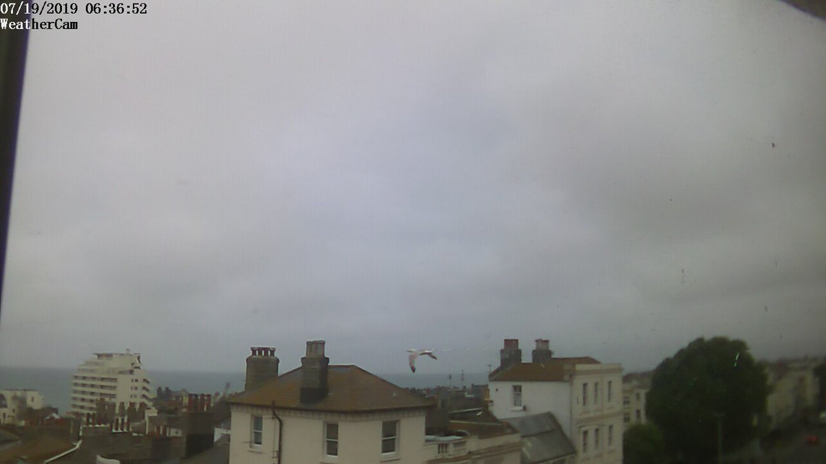 Brighton Weather tweet media