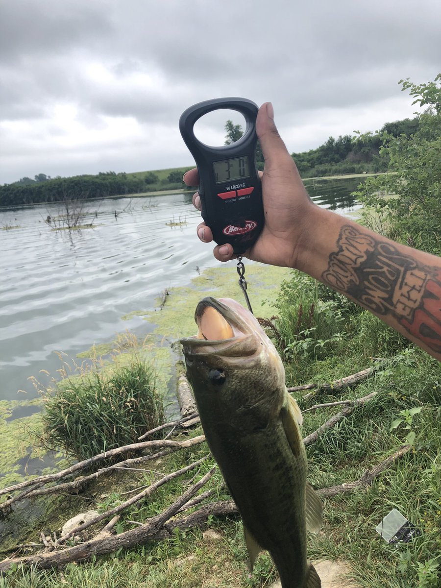 ComplexFishing's tweet image. In need of small sponsorships! we all grow together ❤️