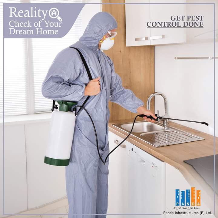 Дезинфекция дезинсекция дератизация. Дезинсекция от клопов. Дезинсекция от насекомых. Pest control (пест-контроль). Дезинсекция от тараканов.