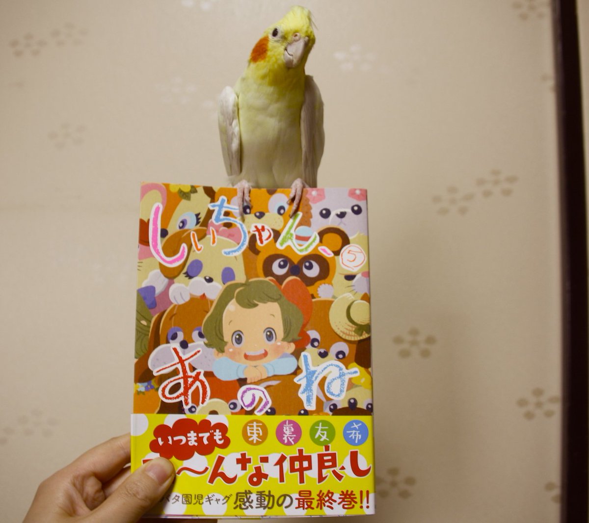 しいちゃん、あのね5巻読みました。銅ちゃん、きれいにタイトル回収ある最終回、だああいすき!このご時世に全百回で美しく見事に円を描いて終わる漫画なかなかないのでは?? 84回「断捨離」はトイストーリー4が上映されている今まさに読むべ…